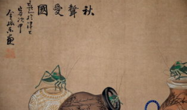 男女牲交视频,揭秘男女牲交视频背后的真相